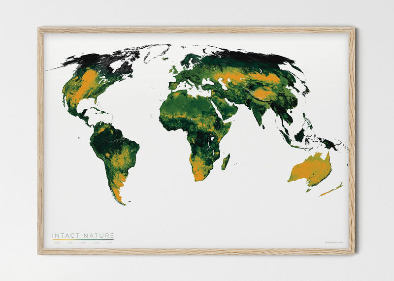 THE WORLD AS THE STATUS OF BIODIVERSITY Mapographics Print Material INTACT_NATURE_LARGE2 / Small title / 100x70 cm (39.37x27.56")