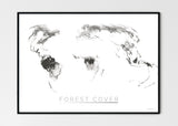 THE WORLD AS FOREST Mapographics Print Material FOREST_COVER_LARGE4 / Large title / 100x70 cm (39.37x27.56")
