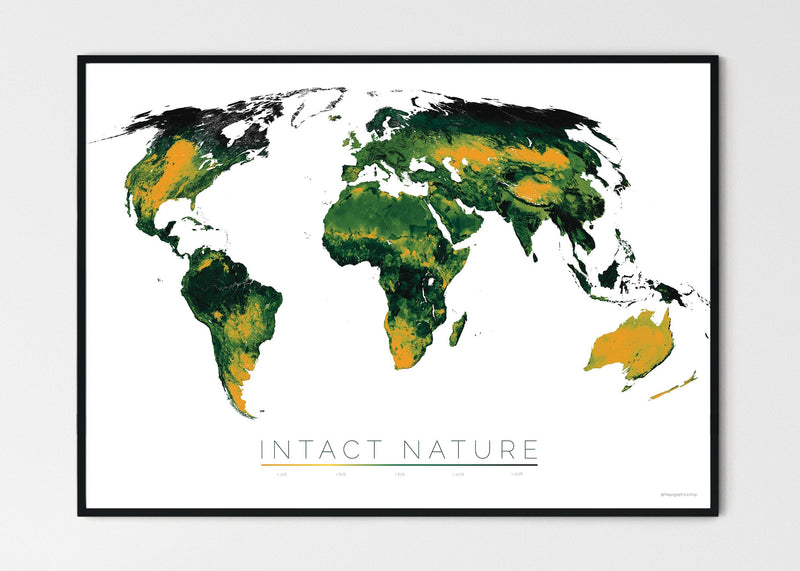 THE WORLD AS THE STATUS OF BIODIVERSITY Mapographics Print Material INTACT_NATURE_LARGE2 / Large title / 100x70 cm (39.37x27.56")