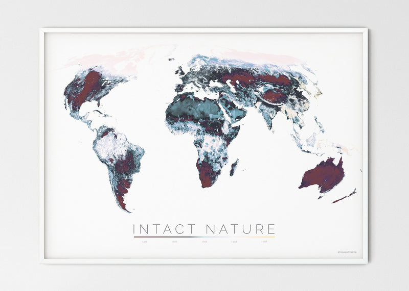 THE WORLD AS THE STATUS OF BIODIVERSITY Mapographics Print Material INTACT_NATURE_LARGE1 / Large title / 100x70 cm (39.37x27.56")